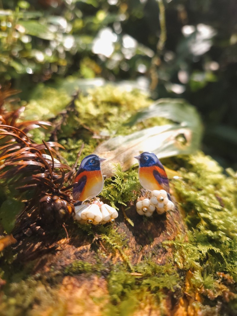 【动物们 No.091】台湾特有种 栗背林鸲  .  耳环 耳夹 - 耳环/耳夹 - 树脂 