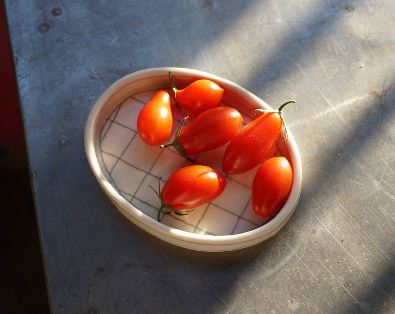 格纹椭圆小浅盘 - 盘子/餐盘/盘架 - 瓷 白色