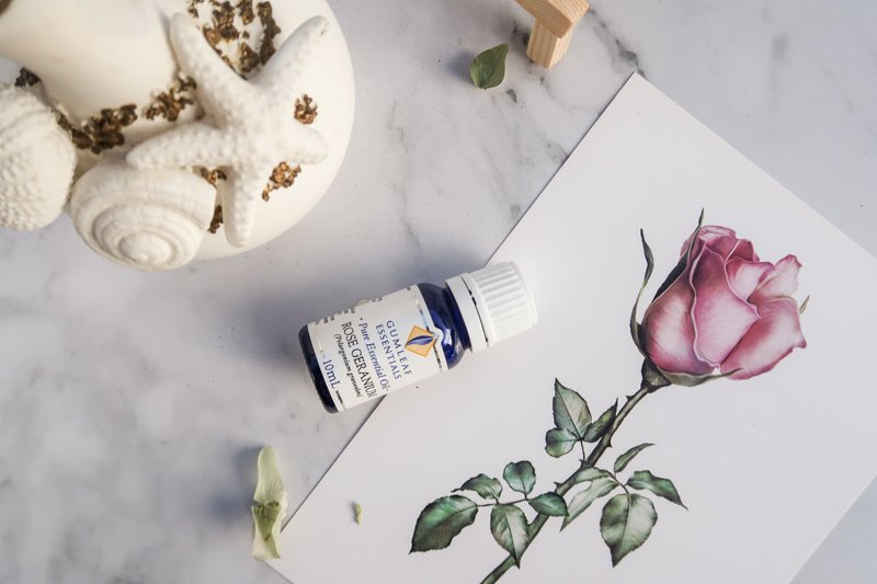 Rose Geranium 玫瑰天竺葵精油 - 香薰/精油/线香 - 精油 