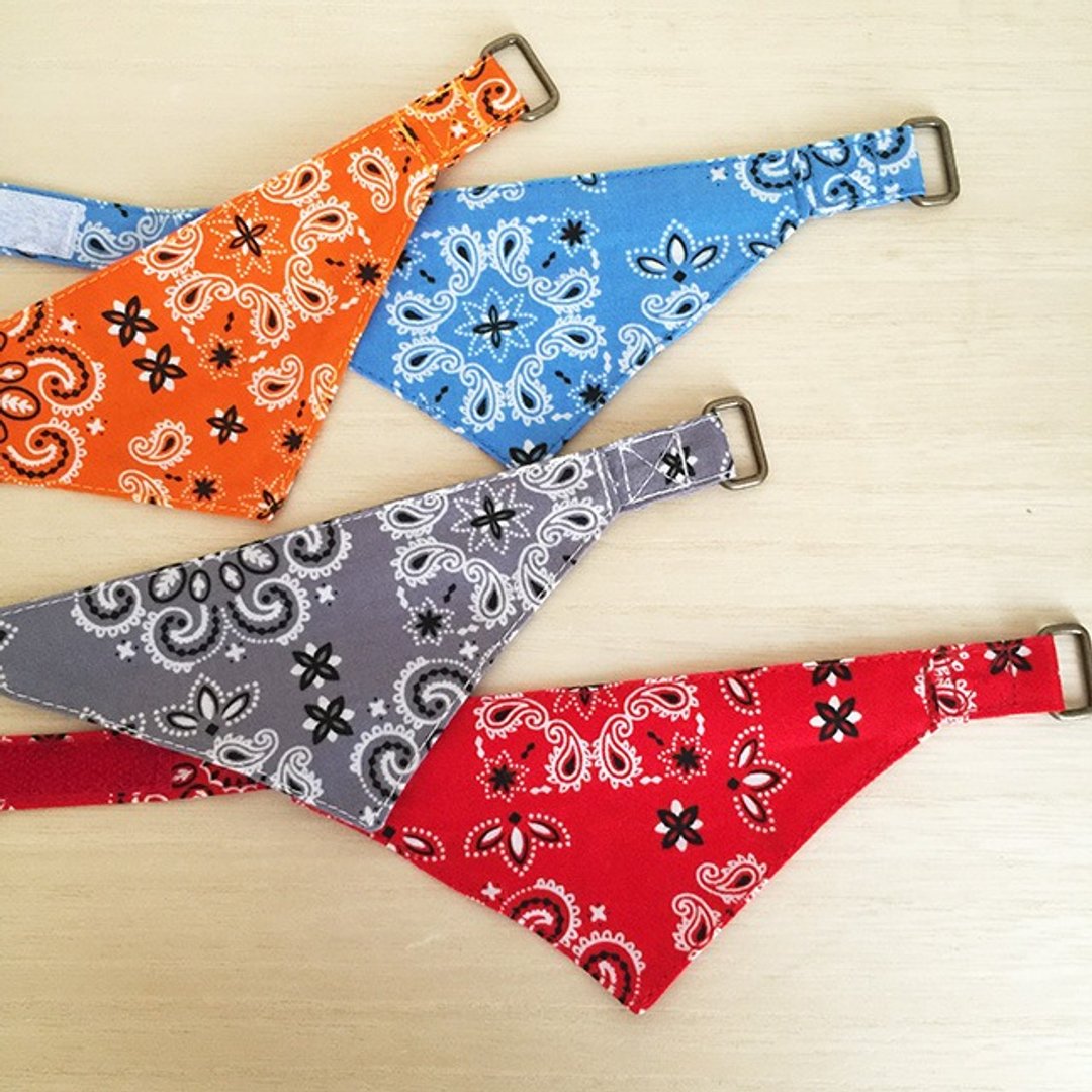 Paisley pattern / bandana style collar with square hook - 项圈/牵绳 - 棉 红色