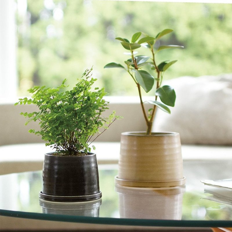 日本KINTO PLANT POT 192陶瓷花盆11cm / 12.5cm - 花瓶/陶器 - 瓷 卡其色