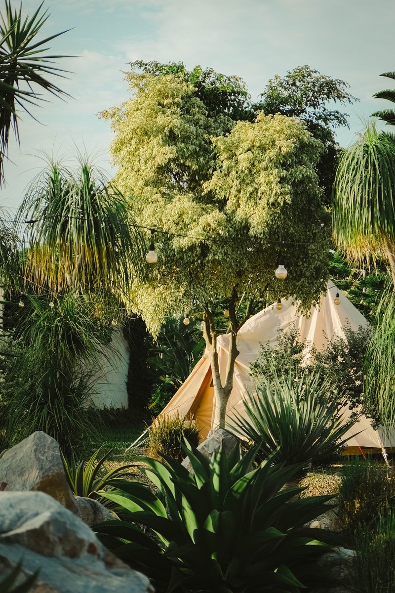 【加购住宿】每人 3450 苗栗露营-自然圈免装备露营 平日包圈项目 - 深度旅游 - 其他材质 