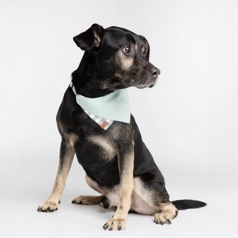 Pawfect-Fit! Pet Bandana 双面宠物领巾 (L) - 衣/帽 - 棉．麻 绿色