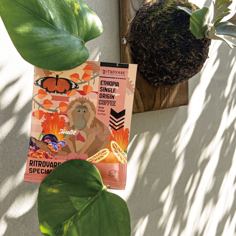 【寻品咖啡・两件 5 折】精品滤挂式咖啡 - 桃可可 G1 日晒 10 入盒 - 咖啡 - 新鲜食材 橘色