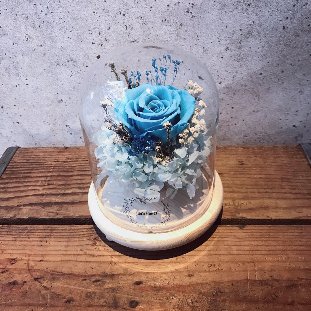 永生花玻璃罩夜灯-蓝玫瑰 - 植栽/盆栽 - 植物．花 蓝色