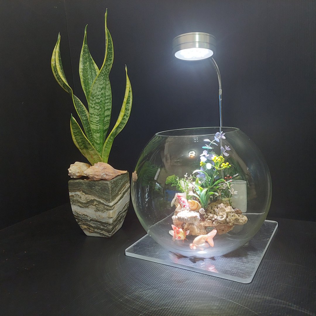 鱼缸 珊瑚海景、流木水草 组合造景 AM-003-L-01 10寸 - 植栽/盆栽 - 玻璃 