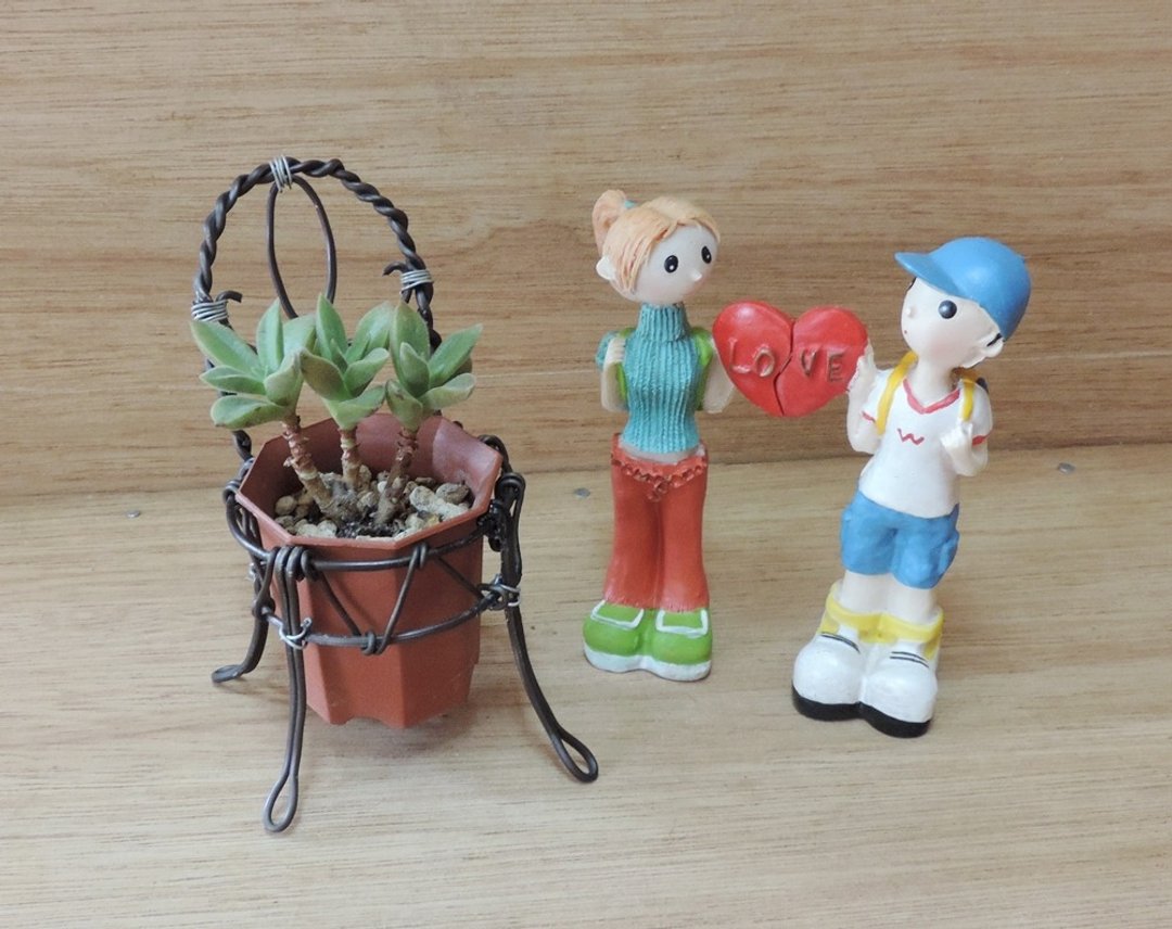 植物花园 · 铝线风格椅【限量贩售】 - 植栽/盆栽 - 其他材质 