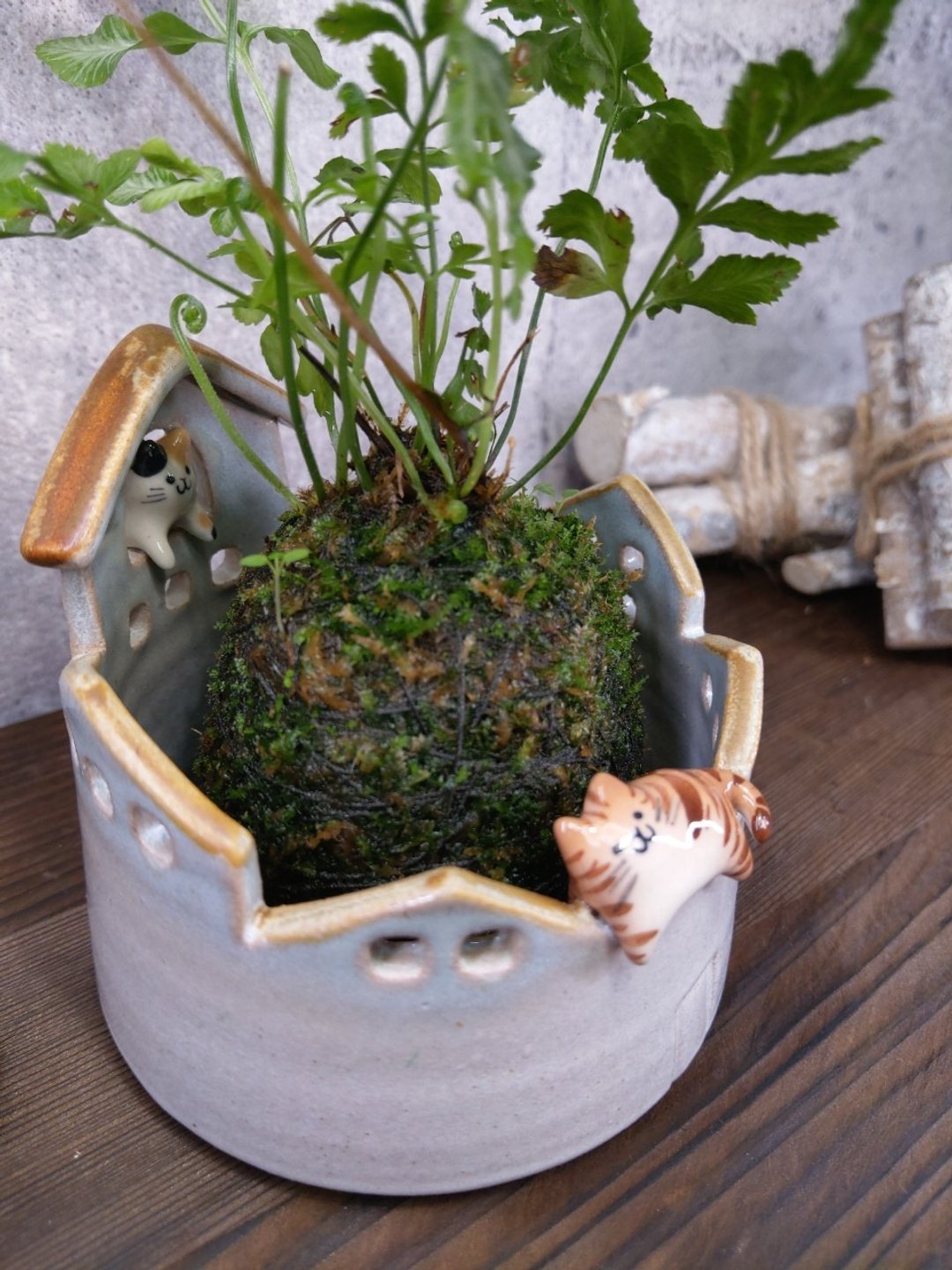 躲猫猫花器-没孔洞 - 植栽/盆栽 - 陶 
