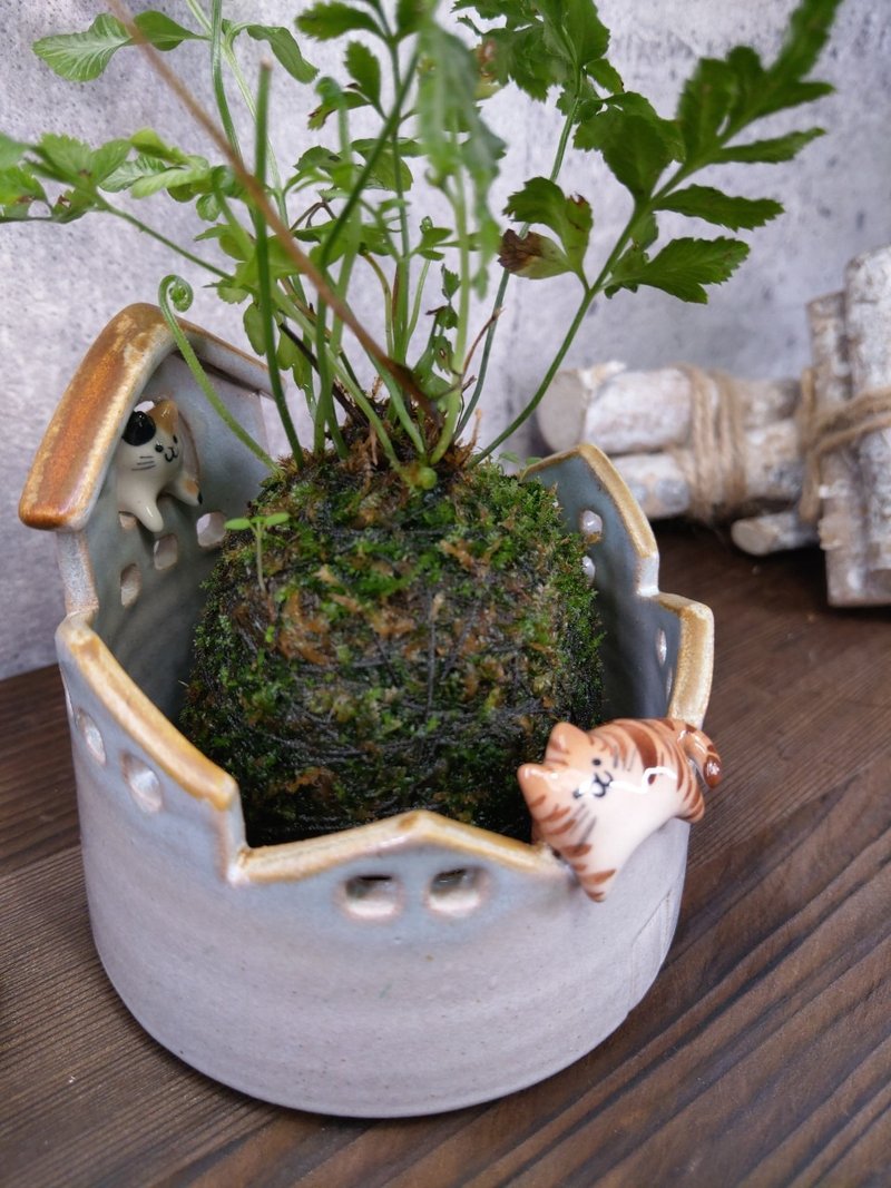 躲猫猫花器-没孔洞 - 植栽/盆栽 - 陶 