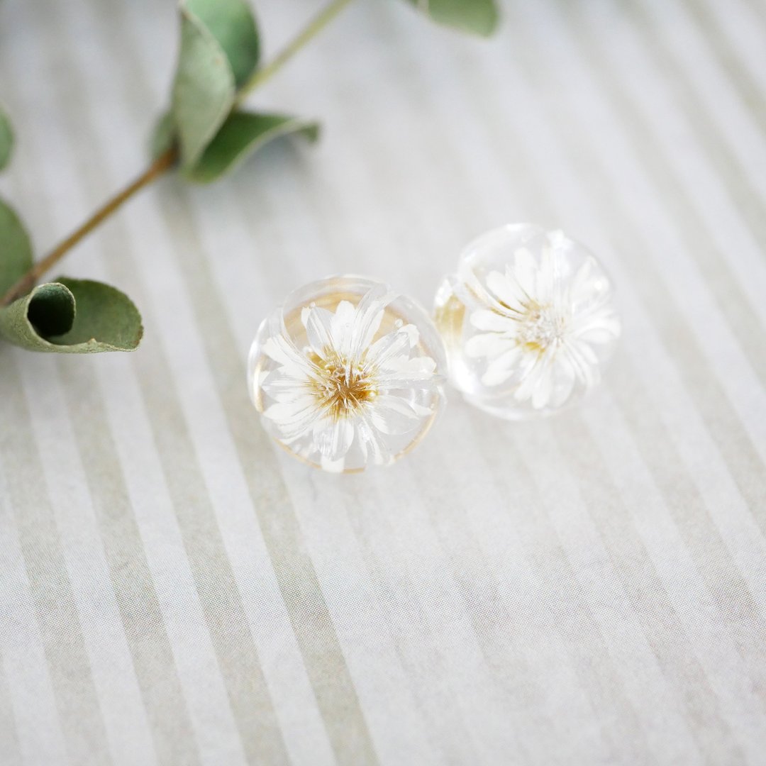 Matricaria dried flower earrings/P-266 - 耳环/耳夹 - 树脂 白色