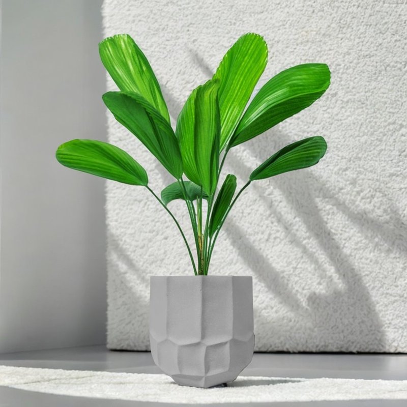 圆扇蒲葵 云岩水泥盆栽 落地盆栽 大盆栽 开幕送礼 乔迁礼物 植栽 - 植栽/盆栽 - 植物．花 