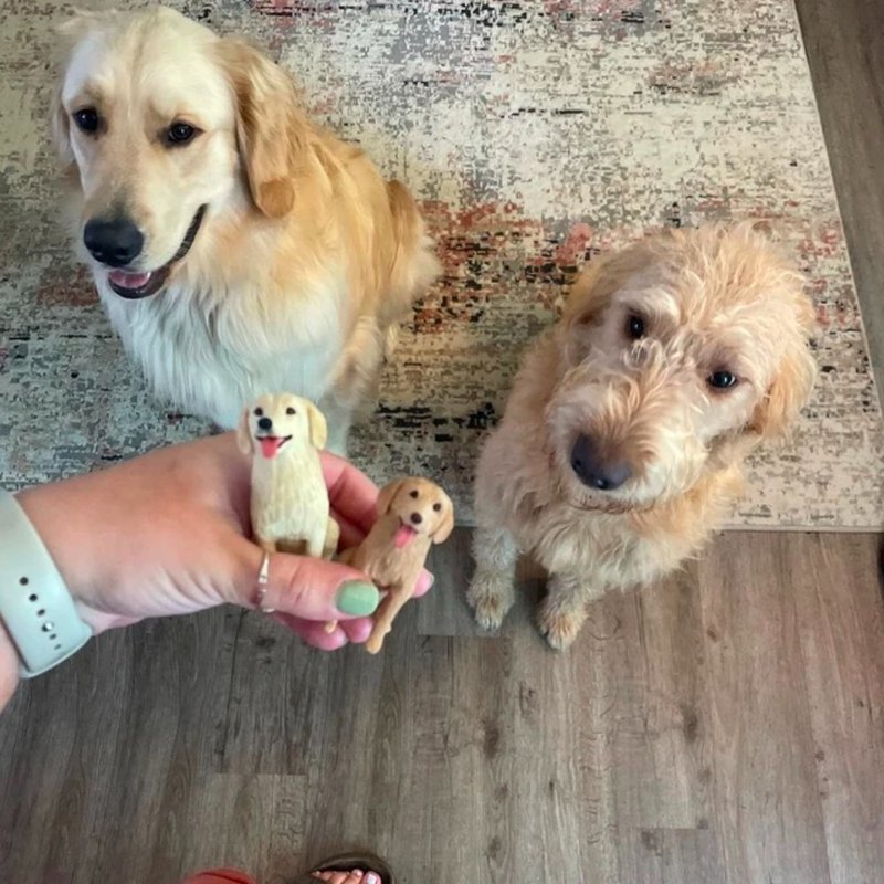 纯手工定制3D宠物艺术娃娃 订制狗狗猫咪毛小孩似颜绘肖像画公仔 - 玩偶/公仔 - 粘土 多色