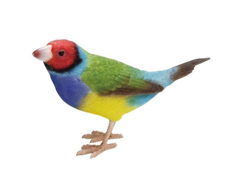 SUSS-日本Magnets疗愈系列七彩文鸟回纹针吸铁/桌上摆饰/文具收纳-生日礼物推荐-现货包邮 - 其他 - 其他材质 多色