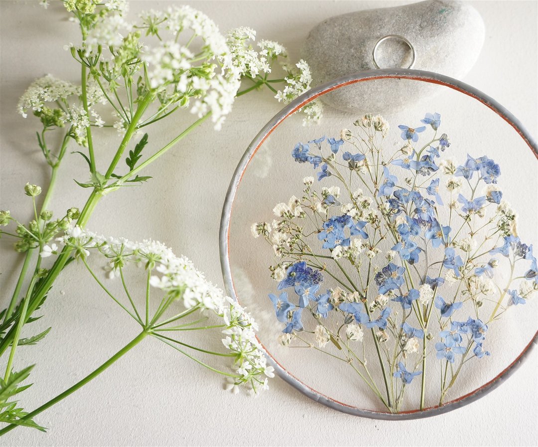 Forget-me-not gift Baby's breath Dried flower Blue white Round metal frame - 干燥花/捧花 - 玻璃 蓝色
