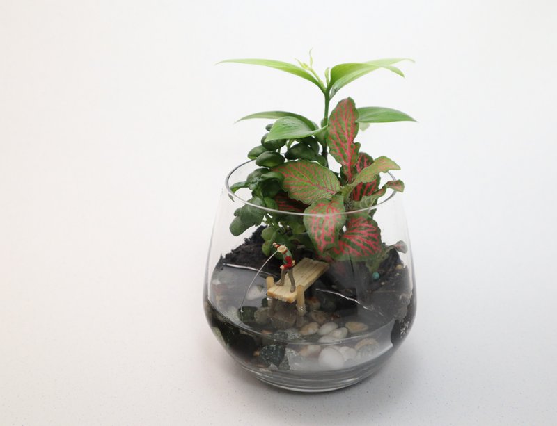 【微景观】慢步钓－盆栽/苔藓/微景观/钓鱼/生日礼物/定制化 - 植栽/盆栽 - 玻璃 绿色