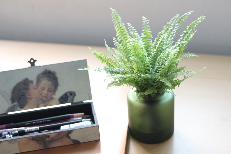 水培植栽│波士顿肾蕨_室内植物 办公室盆栽  店内布置 送礼 - 植栽/盆栽 - 玻璃 