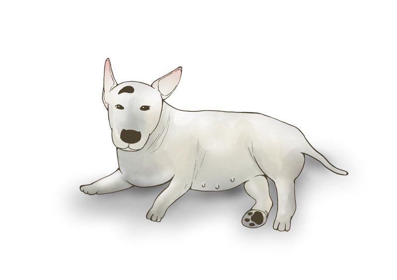 定制化似颜绘、无框画制作、明信片 - 电子手绘真人画像/绘画/插画 - 其他材质 