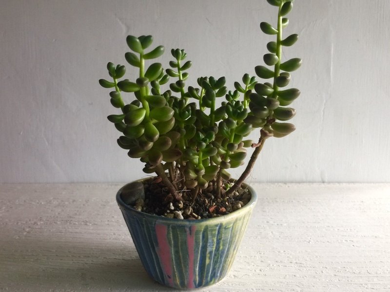 吾陶意_陶器花器盆栽 - 植栽/盆栽 - 陶 卡其色