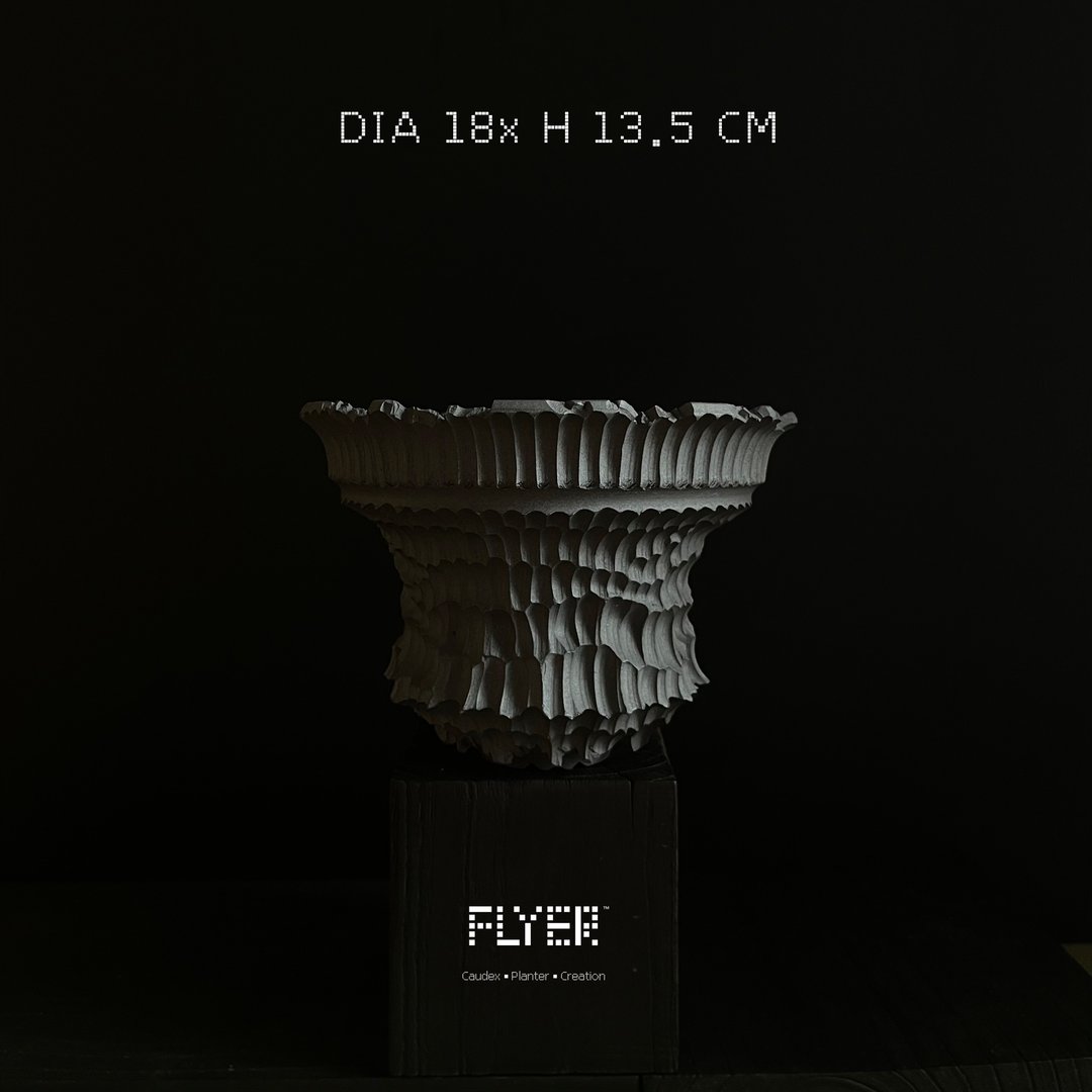 FLYER 块根多肉植物陶盆器 龙舌兰象牙宫象足漆树盆器 - 植栽/盆栽 - 陶 