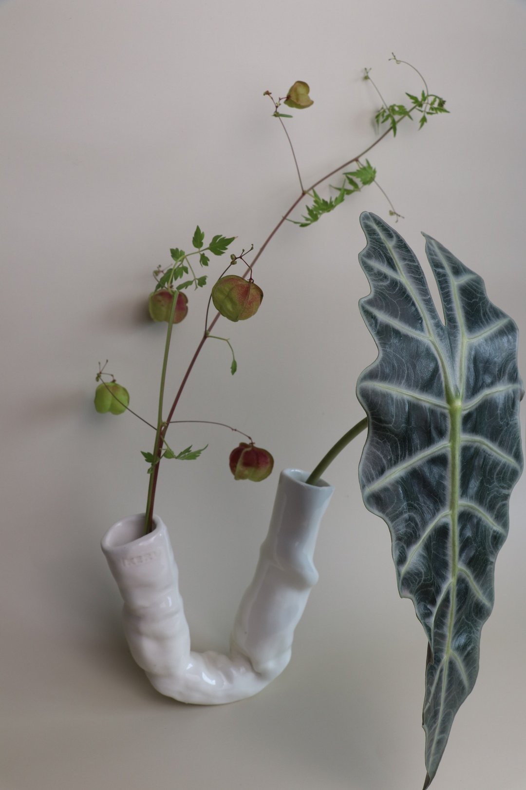 花器界的大肠王 - 摆饰 - 陶 银色