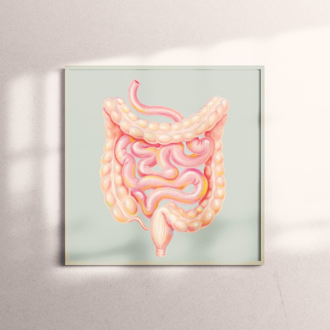 复制画-Guts | 肠子,大肠,小肠 - 海报/装饰画/版画 - 纸 