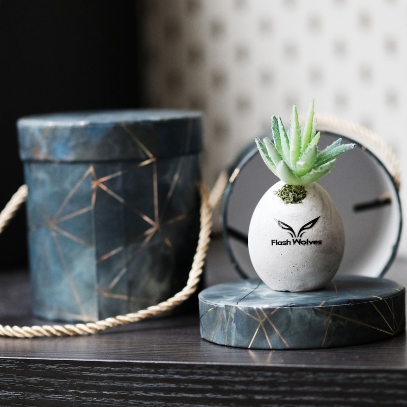 最低订购量30个 定制化盆栽礼品 多肉蛋盆 中秋节礼盒 - 植栽/盆栽 - 水泥 多色