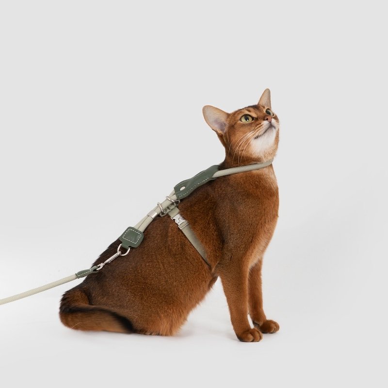 【HiDREAM】皮革圓繩可調節工字貓胸背牽引繩套裝 (多色) - 项圈/牵绳 - 尼龙 多色