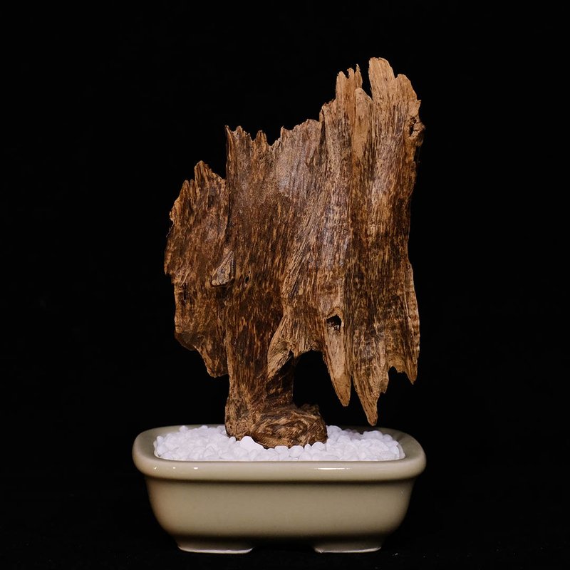 【沉香摆饰】惠安虫镂沉香 - 摆饰 - 木头 