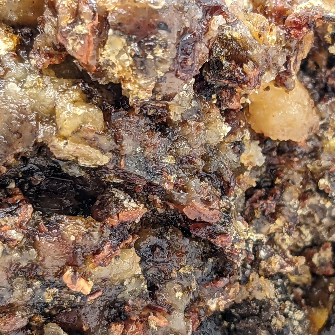 美丽的误会 西伯利亚雪松树脂 15g  天然香材 颗粒型  温润木质香 - 香薰/精油/线香 - 树脂 