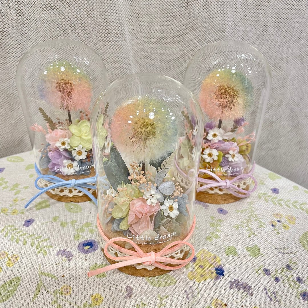 | 小梦境花艺 | 马卡龙色系 彩色永生花蒲公英 玻璃器皿 玻璃罩 - 干燥花/捧花 - 植物．花 白色