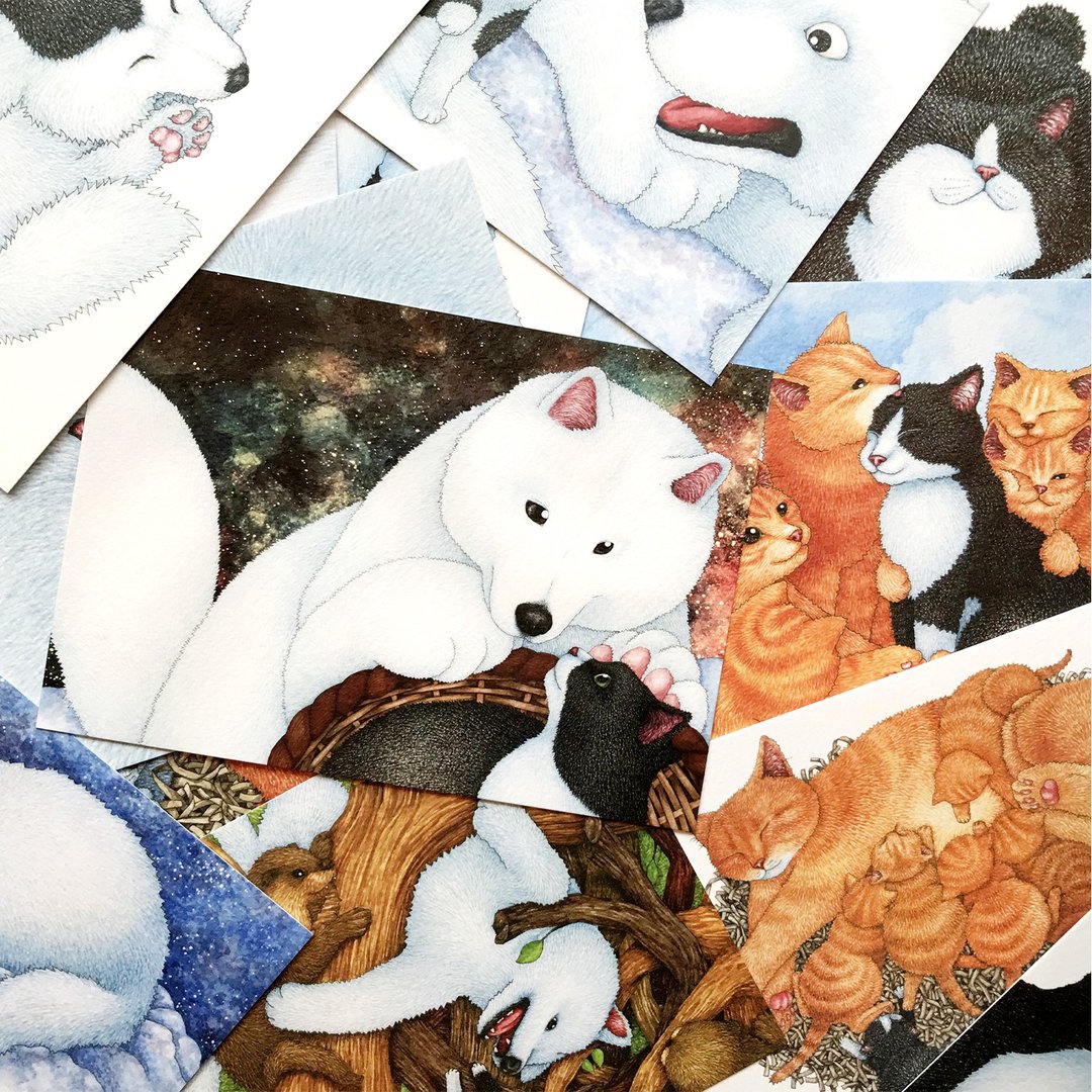 【猫疯子】小黑与大白系列C / 明信片组 - 卡片/明信片 - 纸 多色