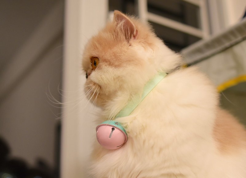 糖果星系喵星人宠物大铃铛项圈 (港台限时包邮) - 项圈/牵绳 - 其他金属 多色