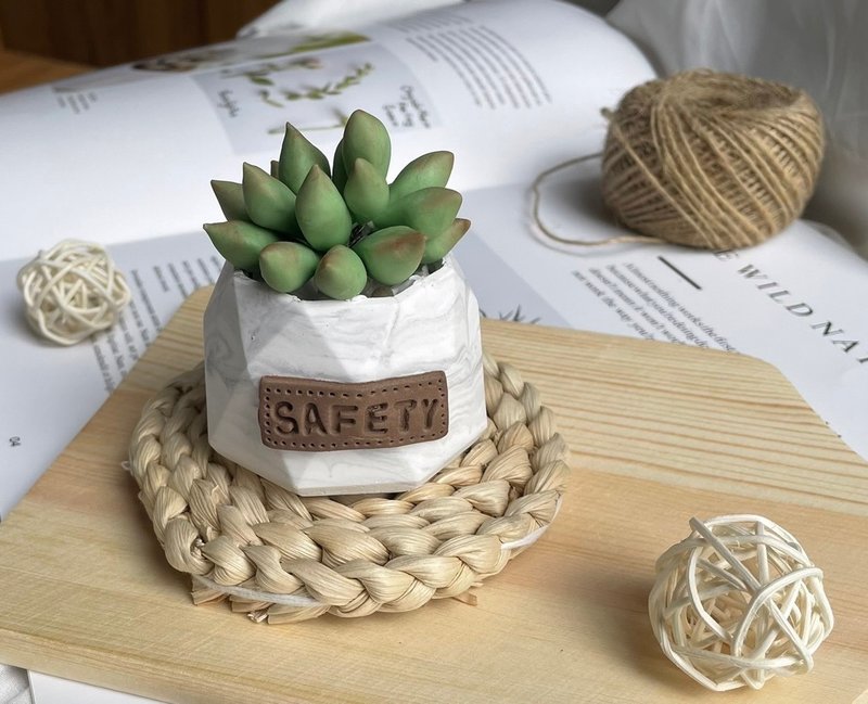 【桃园】石膏捏塑-仿真多肉扩香盆 体验课 /企业活动/团体包班 - 蜡烛/香氛 - 其他材质 