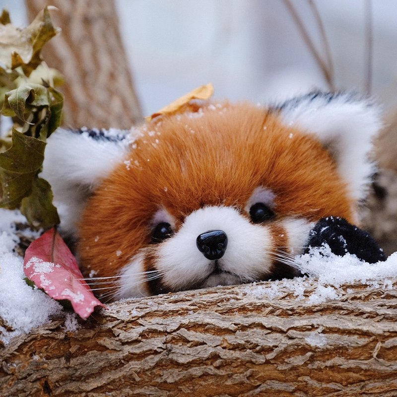 【难度升级系列】可爱小熊猫/DIY材料包 原创毛绒关节玩偶玩具 - 编织/刺绣/羊毛毡/裁缝 - 其他材质 