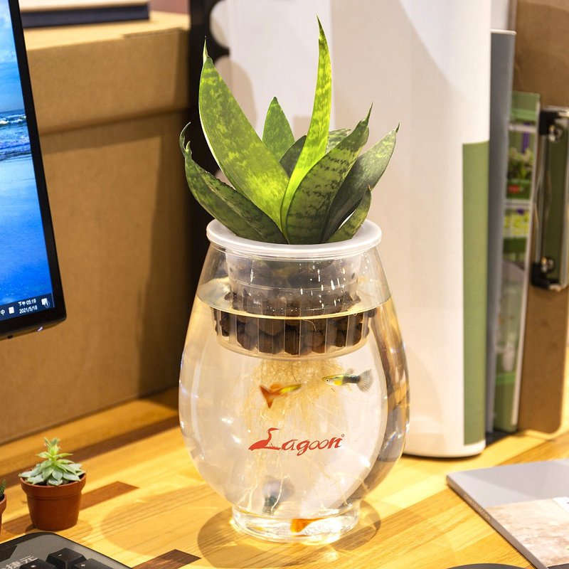 Mini Vish 迷你鱼菜共生(2入以下超取) - 植栽/盆栽 - 塑料 白色
