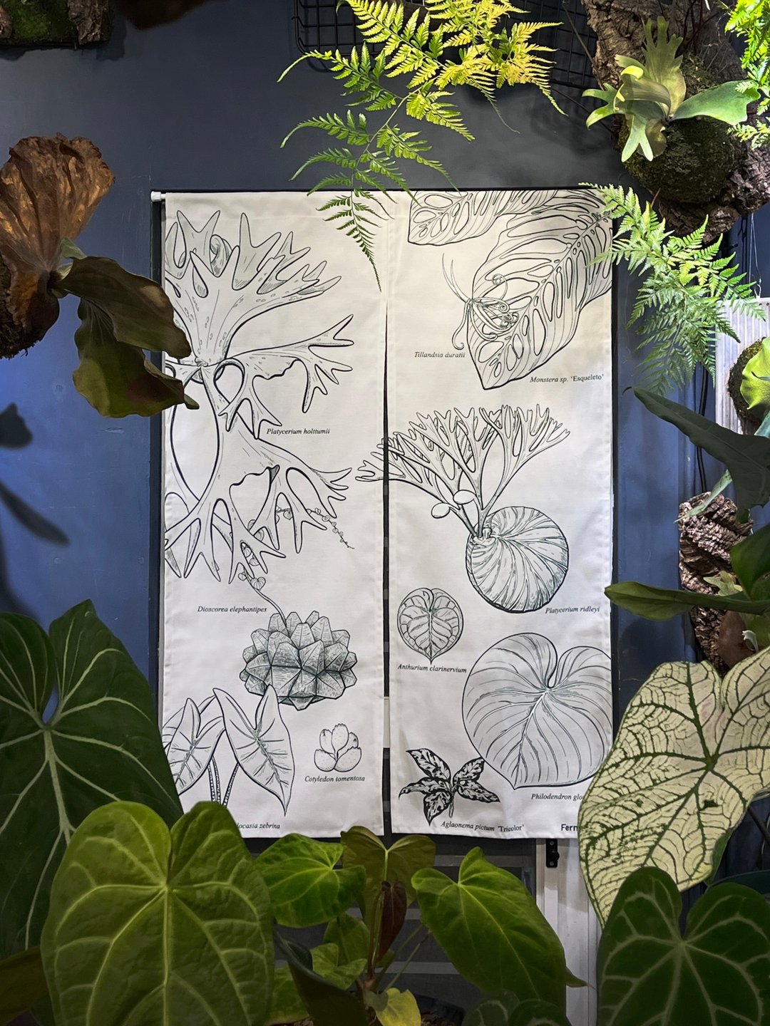 【日式门帘】观叶好门帘 植物插画风格 仿麻布材质 白色/绿色 - 门帘/门牌 - 聚酯纤维 白色