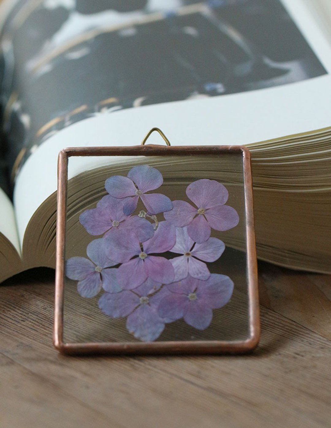 植物图鉴∣粉紫色绣球花∣玻璃镶崁∣花草标本小品 - 书签 - 植物．花 白色