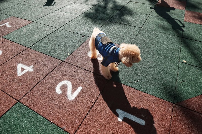 chacha.metyou / 蓝绿格纹毛毛口袋衣 / 狗狗喵喵毛小孩 - 衣/帽 - 其他材质 多色