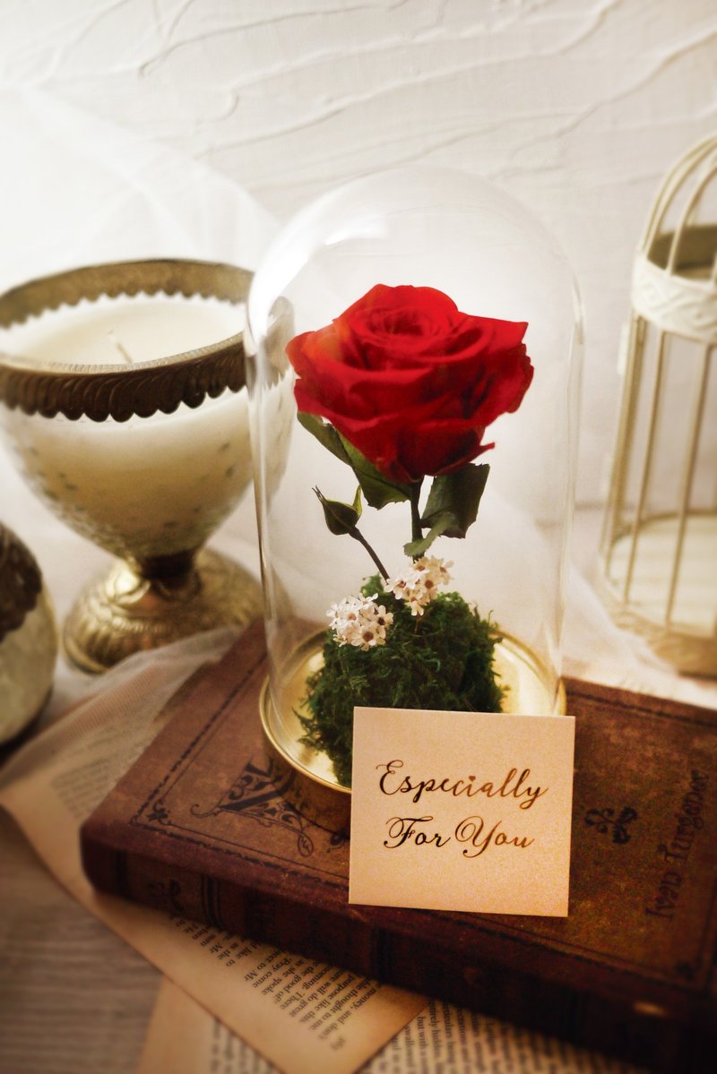 小王子-永生红玫瑰金色玻璃罩盅(情人节 生日 新居贺礼) - 植栽/盆栽 - 植物．花 红色