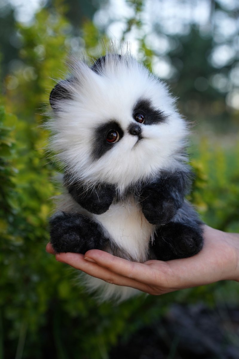 潘博美幼犬 - 玩偶/公仔 - 其他材质 多色