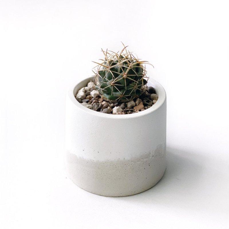 (现货) 奶茶系列 | 象牙丸 圆形双色水泥仙人掌植栽 - 植栽/盆栽 - 植物．花 卡其色