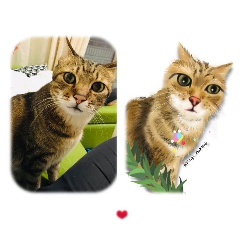 电绘-定制宠物猫狗画像委托肖像画 -毛孩纪念似颜绘(猫咪喵/虎斑 - 喜帖 - 其他材质 橘色