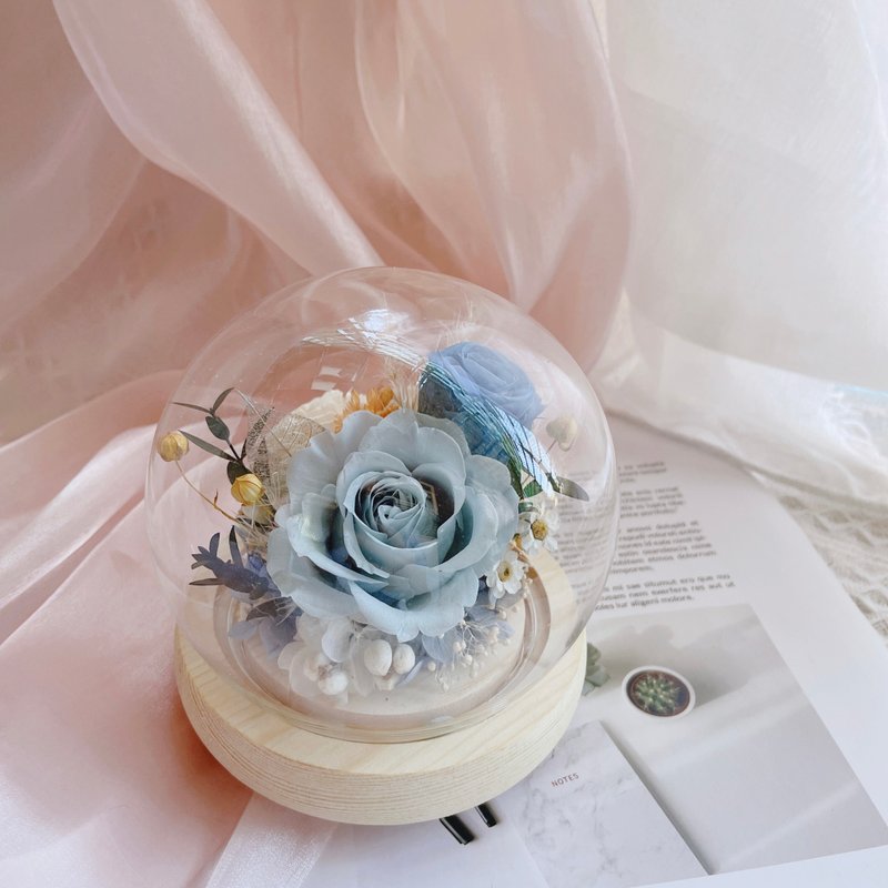 12cm 永生花玻璃球 - 干燥花/捧花 - 玻璃 
