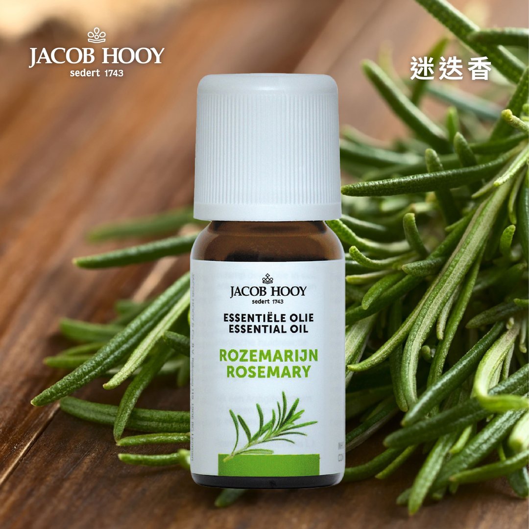 Jacob Hooy雅歌布霍伊 | 迷迭香精油 100%纯精油 扩香 水氧 芳疗 - 香薰/精油/线香 - 精油 