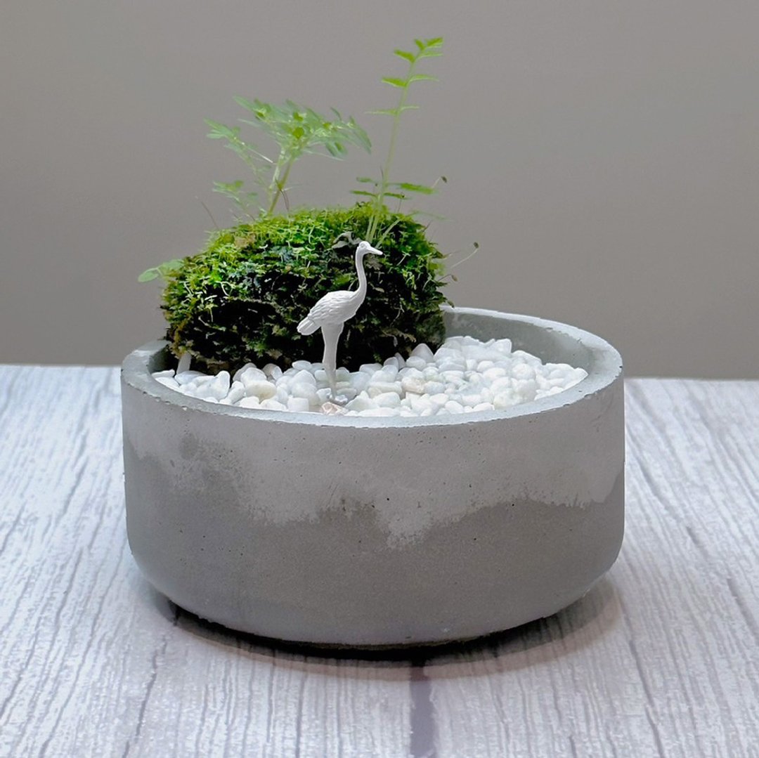 疗愈系-自然苔玉美学 – 夜鹤 / 侘寂风 / 禅风 / 盆栽 / 摆饰 - 植栽/盆栽 - 植物．花 