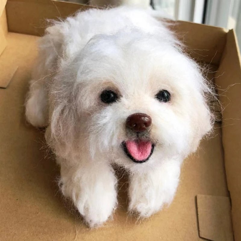 客制化逼真比熊犬羊毛毡宠物娃娃 定制复刻狗狗猫咪毛小孩公仔 - 玩具 - 羊毛 多色