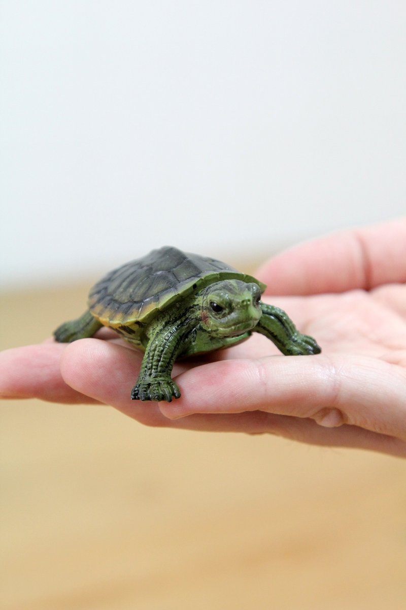 SUSS-日本Magnets超有趣文具 拟真回纹针收纳绿蠵龟-现货 - 其他 - 树脂 绿色