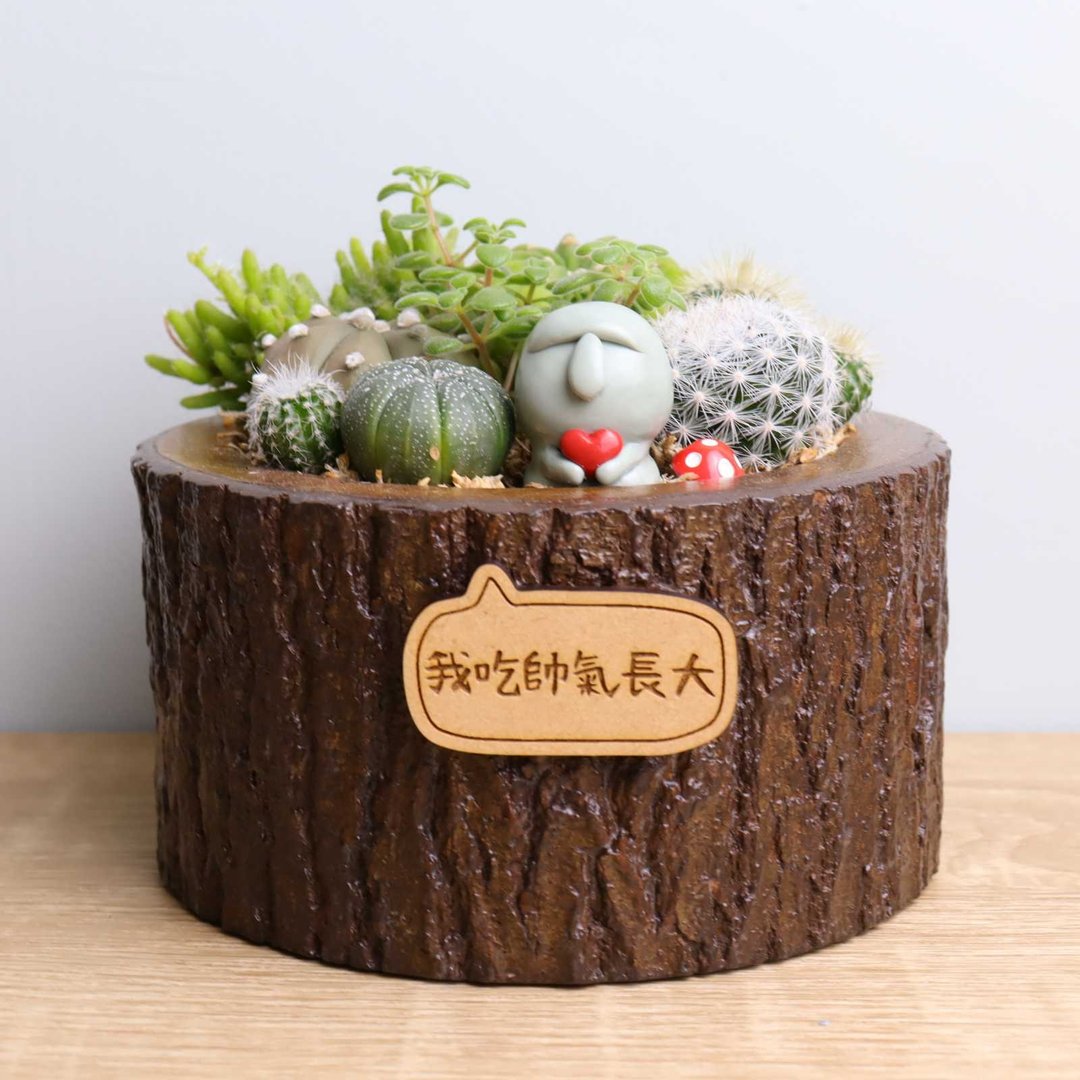 摩艾 仙人掌盆栽 字牌定制 原木头 复活岛 生日 开幕 送礼 - 植栽/盆栽 - 木头 咖啡色