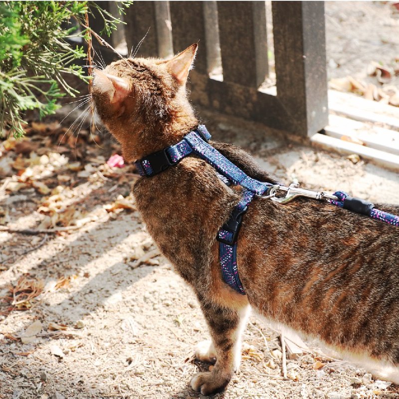 FLASH闪电系列 猫用工字胸背 藍粉 - 项圈/牵绳 - 尼龙 蓝色