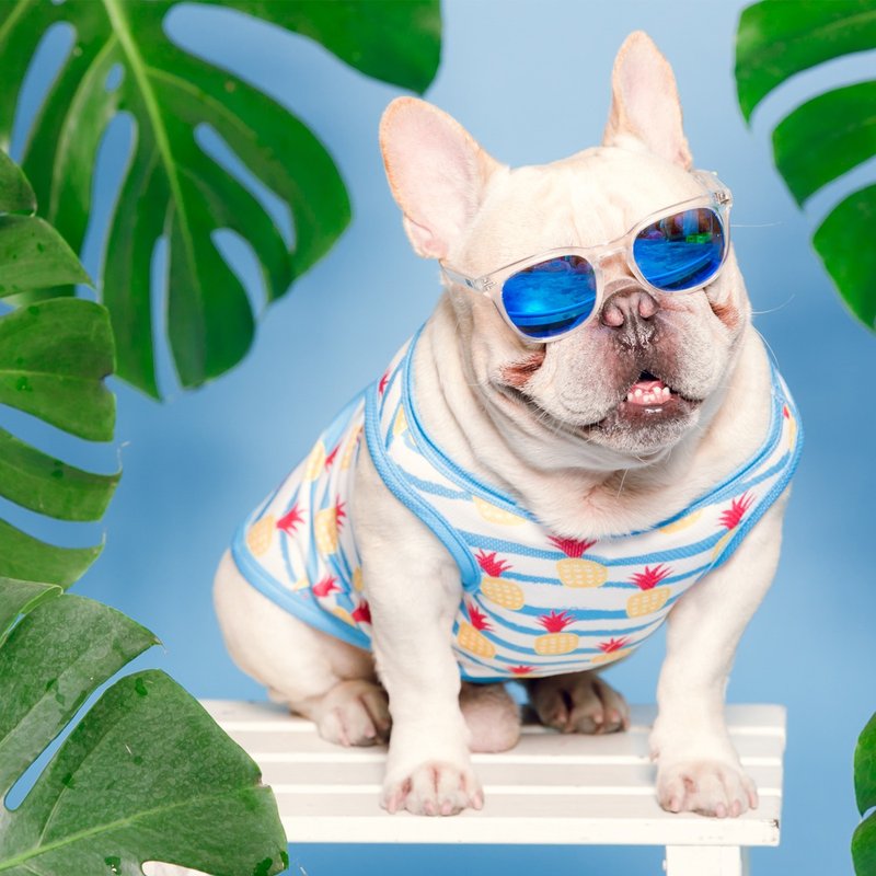 【抗UV】凤梨风情KeepCool背心(蓝-S/M/L/2L/FB) - 衣/帽 - 其他材质 